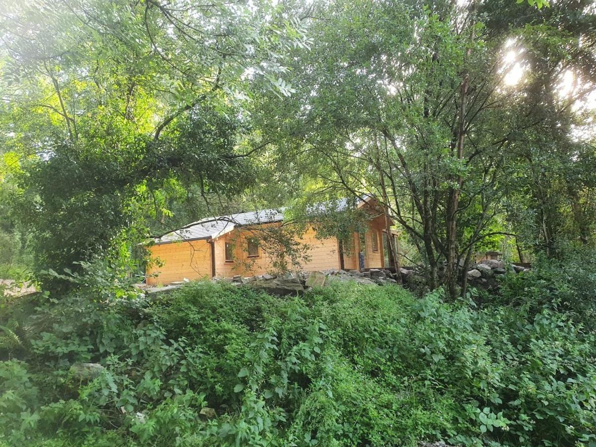 Stunning Log Cabin On The Lake Portroe Exterior photo
