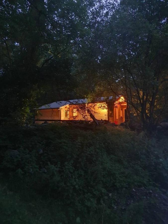 Stunning Log Cabin On The Lake Portroe Exterior photo